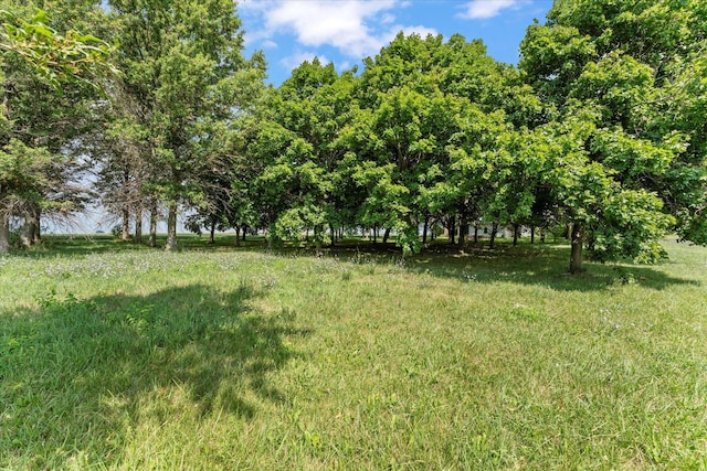 3035 County Road 1500 E, Rantoul, IL 61866 - photo 3