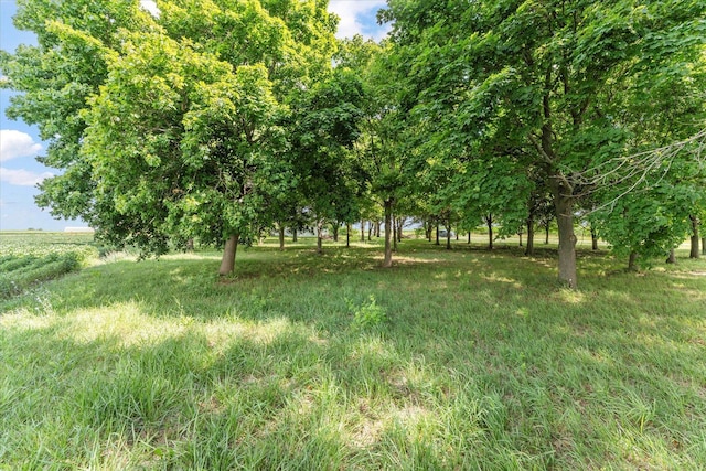 3035 County Road 1500 E, Rantoul, IL 61866 - photo 4