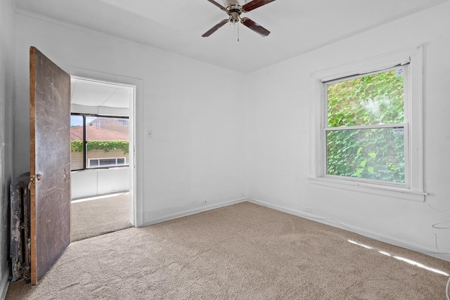 7721 S Hermitage Ave, Chicago, IL 60620 - photo 11