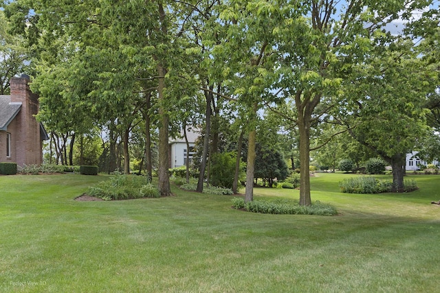 17201 S Caitlin Ct, Plainfield, IL 60586 - photo 6