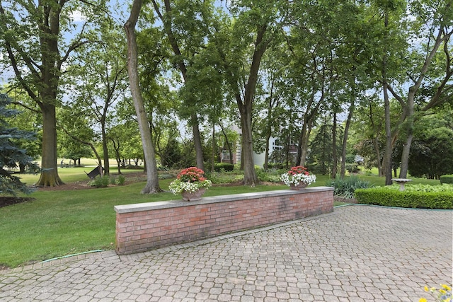 17201 S Caitlin Ct, Plainfield, IL 60586 - photo 9