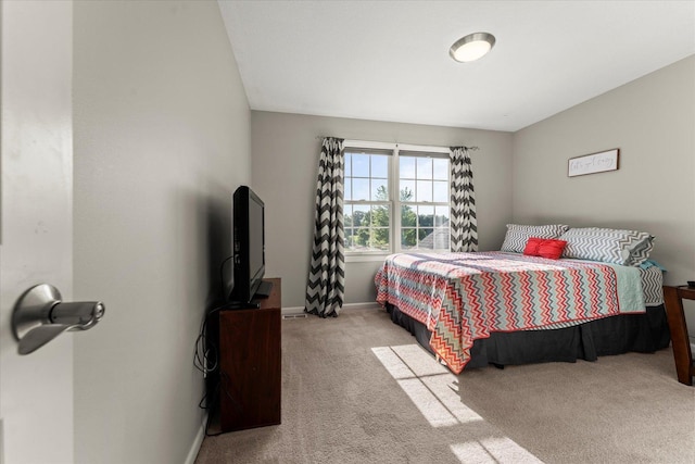 1501 Quarry Rd, Mahomet, IL 61853 - photo 33