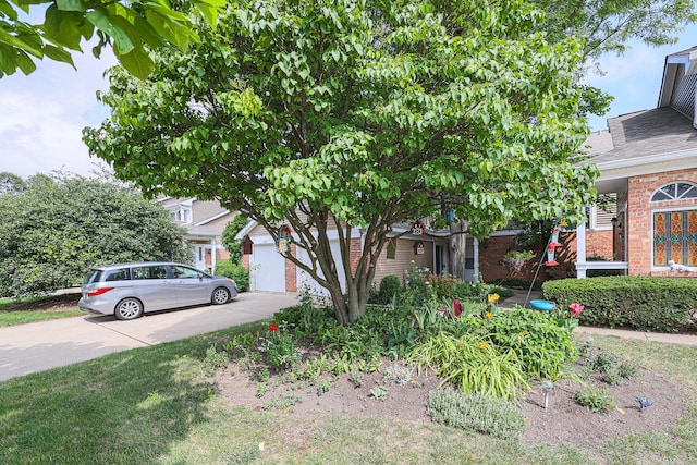 1138 Courtland Dr Unit 14E, Buffalo Grove, IL 60089 - photo 3