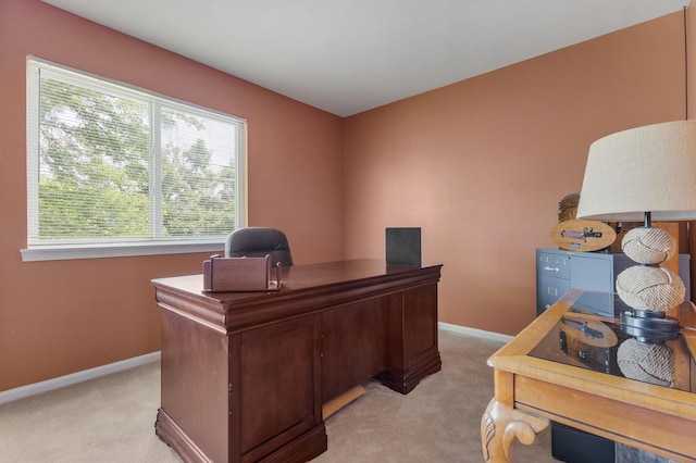 36077 N Bridlewood Ave, Gurnee, IL 60031 - photo 20