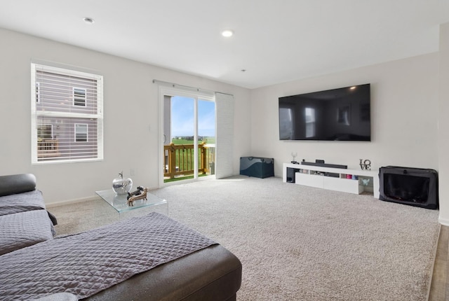 862 Briar Glen Ct, Hampshire, IL 60140 - photo 6