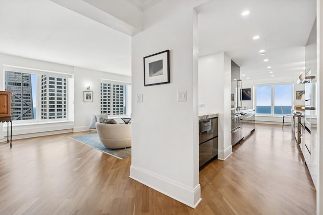 161 E Chicago Ave Unit 38A, Chicago, IL 60611 - photo 12