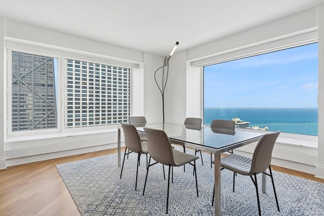 161 E Chicago Ave Unit 38A, Chicago, IL 60611 - photo 20