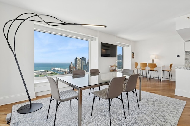161 E Chicago Ave Unit 38A, Chicago, IL 60611 - photo 21