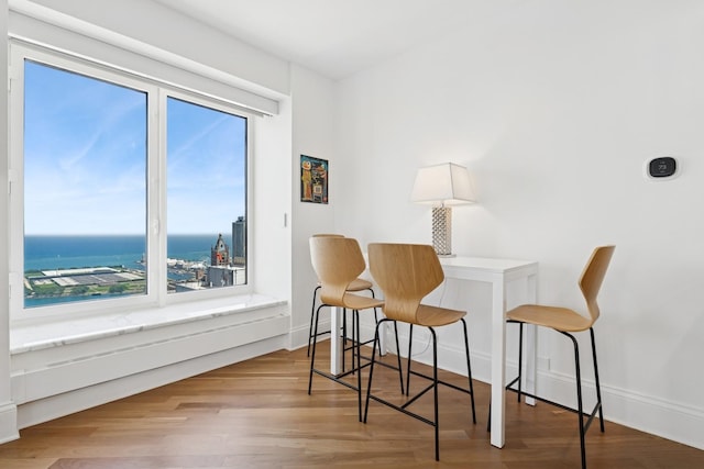 161 E Chicago Ave Unit 38A, Chicago, IL 60611 - photo 22