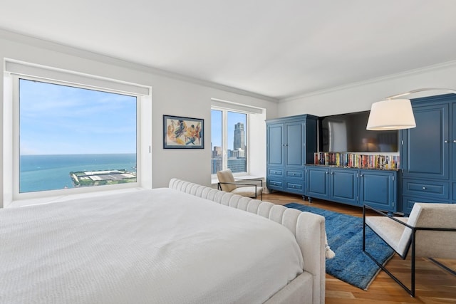 161 E Chicago Ave Unit 38A, Chicago, IL 60611 - photo 27
