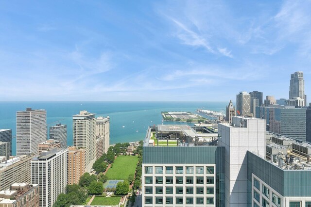 161 E Chicago Ave Unit 38A, Chicago, IL 60611 - photo 43