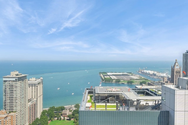 161 E Chicago Ave Unit 38A, Chicago, IL 60611 - photo 44