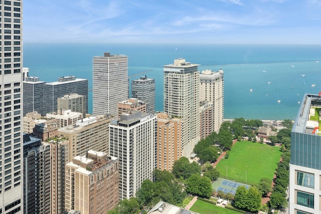 161 E Chicago Ave Unit 38A, Chicago, IL 60611 - photo 45