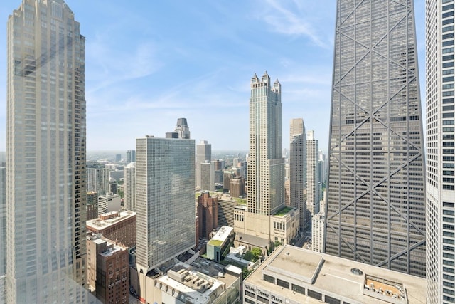 161 E Chicago Ave Unit 38A, Chicago, IL 60611 - photo 46