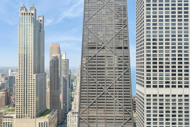 161 E Chicago Ave Unit 38A, Chicago, IL 60611 - photo 48