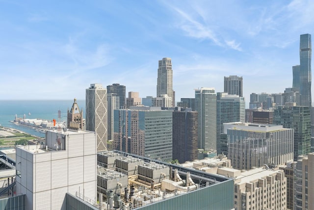 161 E Chicago Ave Unit 38A, Chicago, IL 60611 - photo 49