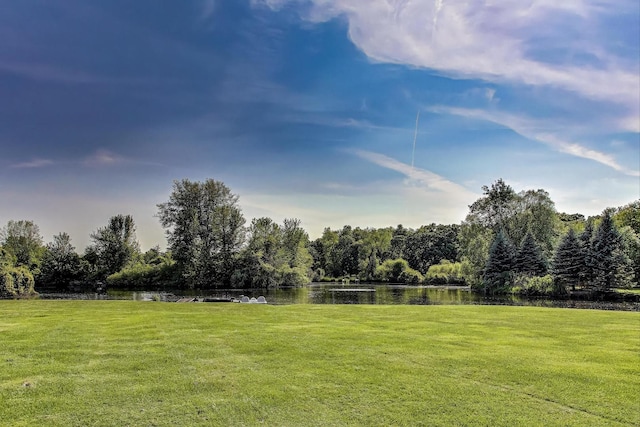 17N431 Oak Knoll Ln, Dundee, IL 60118 - photo 22