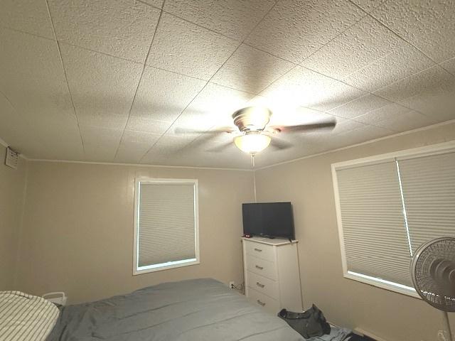 223 N Lincoln Ave, Dixon, IL 61021 - photo 11