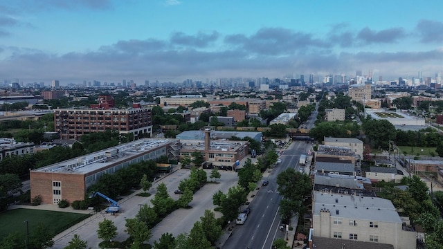 2665 W Warren Blvd Unit 3, Chicago, IL 60612 - aerial view of city skyline
