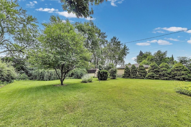 859 S Mount Prospect Rd, Des Plaines, IL 60016 - view of grassy yard