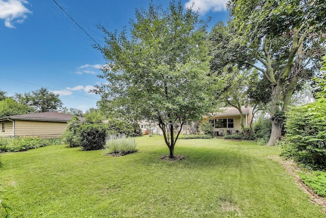 859 S Mount Prospect Rd, Des Plaines, IL 60016 - view of grassy yard