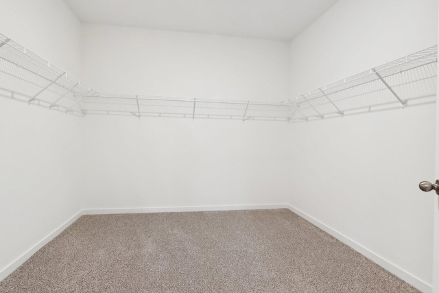 2458 Plains Dr, Pingree Grove, IL 60140 - photo 21