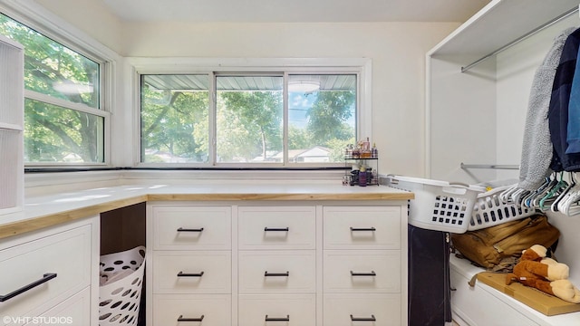 16051 W Des Plaines Dr, Libertyville, IL 60048 - photo 18