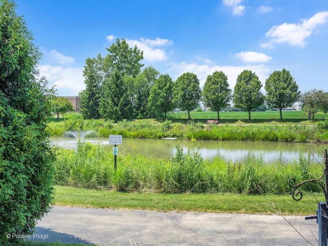 2789 Blakely Ln, Naperville, IL 60540 - photo 26