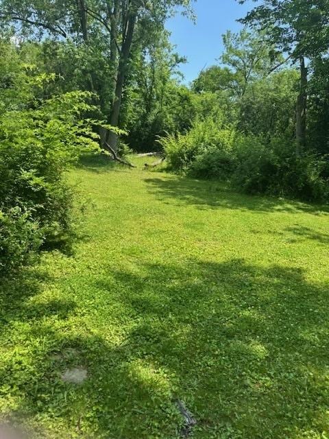 7425 Willow Springs Rd, Countryside, IL 60525 - photo 1