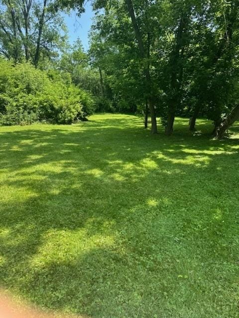 7425 Willow Springs Rd, Countryside, IL 60525 - photo 2