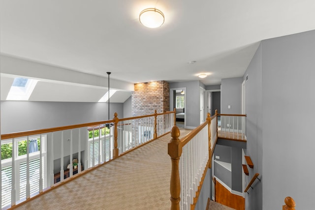 816 Spindletree Ave, Naperville, IL 60565 - photo 22