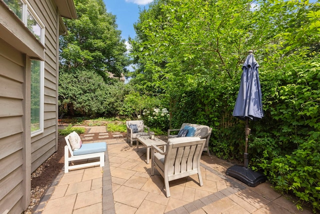 816 Spindletree Ave, Naperville, IL 60565 - photo 39