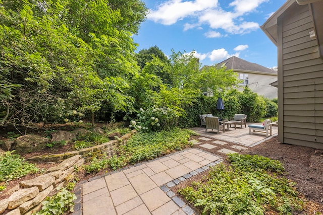 816 Spindletree Ave, Naperville, IL 60565 - photo 40