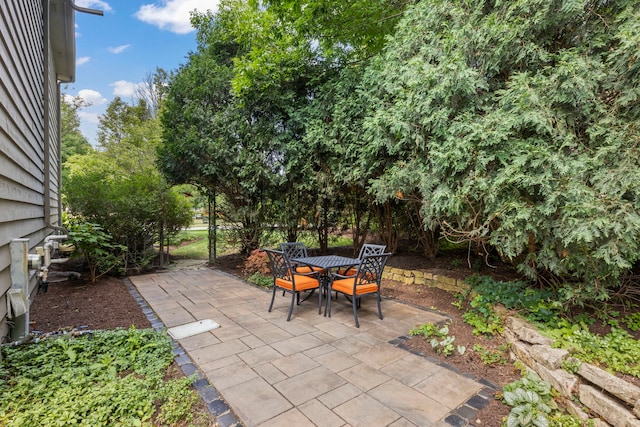 816 Spindletree Ave, Naperville, IL 60565 - photo 41