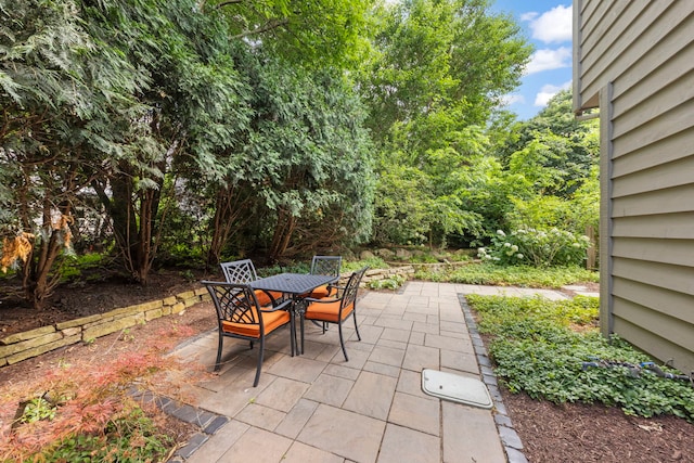 816 Spindletree Ave, Naperville, IL 60565 - photo 42