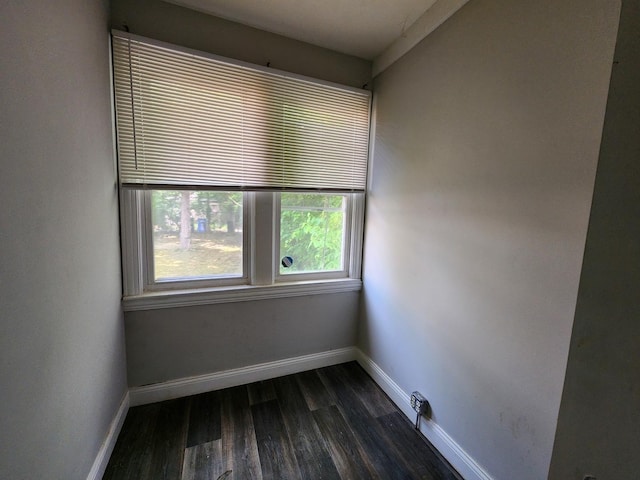 12211 S Wallace St, Chicago, IL 60628 - photo 11
