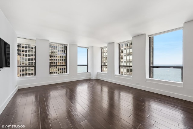 260 E Chestnut St Unit 1210, Chicago, IL 60611 - unfurnished living room featuring wood finished floors