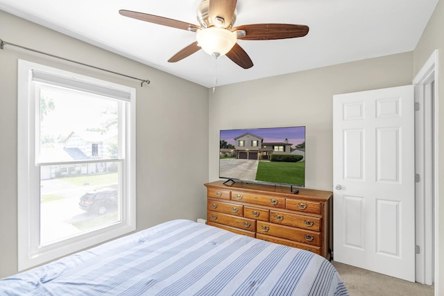 676 Niagara Dr, Bolingbrook, IL 60440 - photo 22