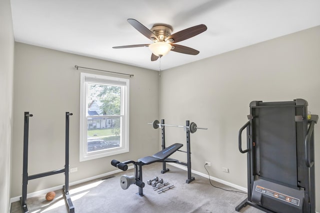 676 Niagara Dr, Bolingbrook, IL 60440 - photo 23