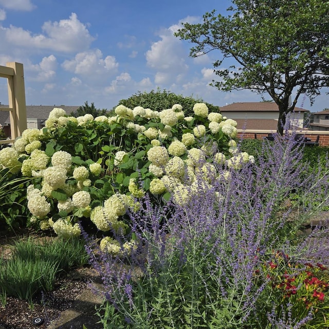170 N NW Hwy Unit 410, Park Ridge, IL 60068 - photo 30