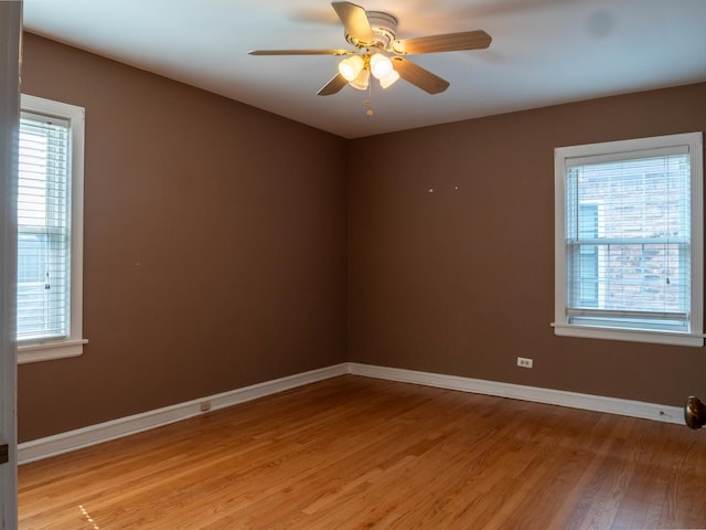 1907 N Rutherford Ave, Chicago, IL 60707 - photo 12