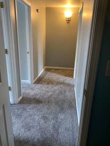 59 S Treehouse Ln S Unit 59, Round Lake, IL 60073 - hallway with carpet floors and baseboards