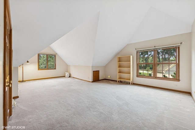 1S520 Swan Lake Ct, Wheaton, IL 60189 - photo 40