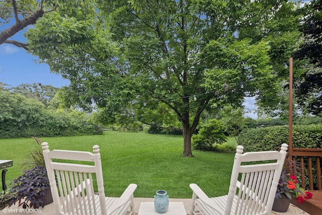 1S520 Swan Lake Ct, Wheaton, IL 60189 - photo 48
