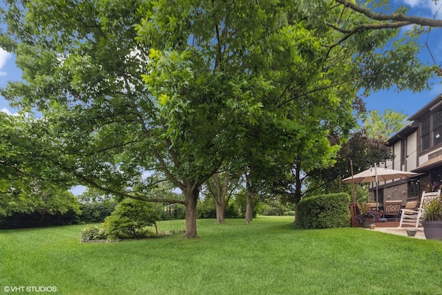 1S520 Swan Lake Ct, Wheaton, IL 60189 - photo 49