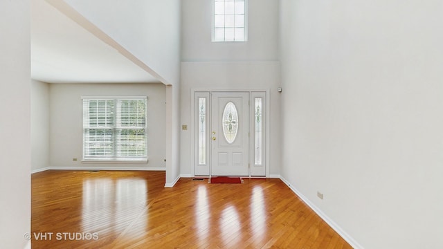 1291 White Chapel Ln, Algonquin, IL 60102 - entryway featuring light wood-type flooring and a towering ceiling