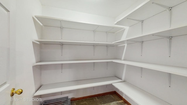 1291 White Chapel Ln, Algonquin, IL 60102 - view of pantry