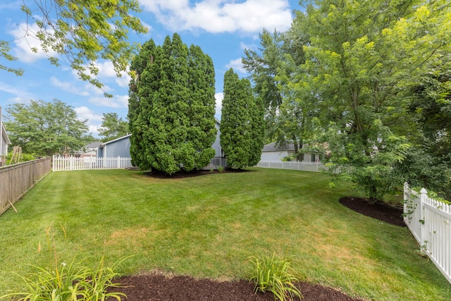 1420 Westglen Dr, Naperville, IL 60565 - photo 28