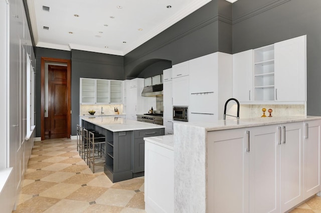 189 E Lake Shore Dr Unit Ph18, Chicago, IL 60611 - kitchen featuring open shelves, white cabinetry, tasteful backsplash, and crown molding