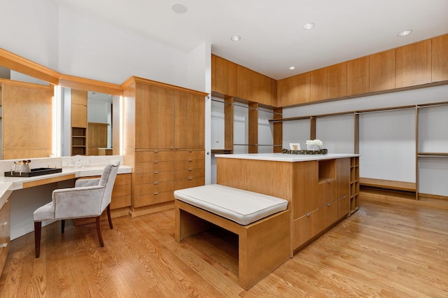 189 E Lake Shore Dr Unit Ph18, Chicago, IL 60611 - spacious closet with light wood-type flooring